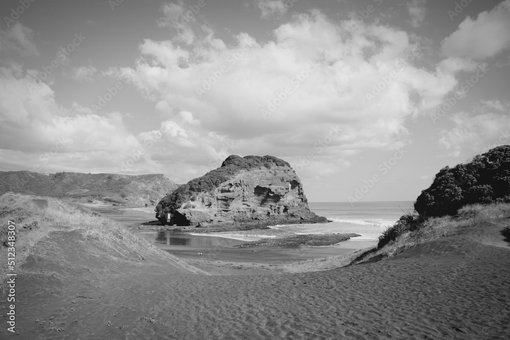New Zealand landscape - black beach of Te Henga. Black and white vintage photo style.
