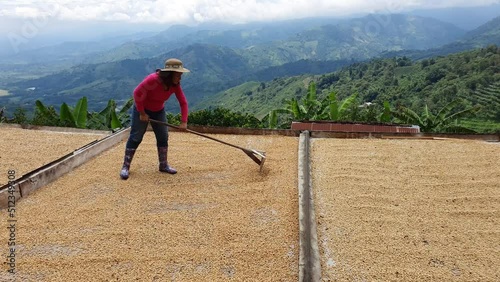 Working the coffee of his farm in the mountains