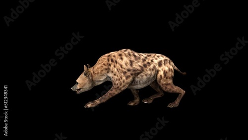 4K Hyena Walk animation.3840×2160.8 Second Long.Transparent Alpha video.LOOP. photo