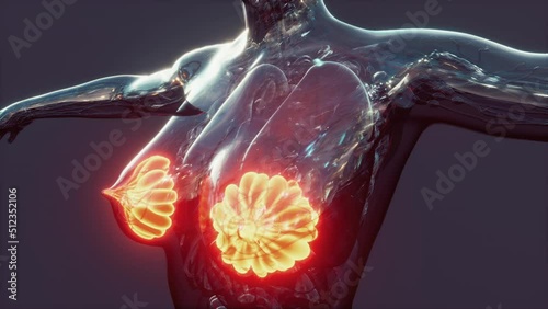 science anatomy of human body with glow mammary gland photo
