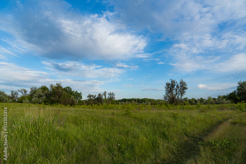 Ukrainian morning steppe field on a background of blue sky
