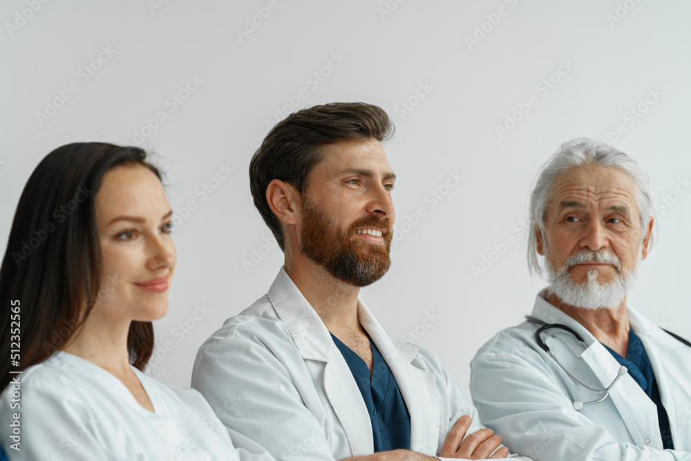 Group of professional doctors standing in a line at the modern clinic Group of professional doctors standing in a line at the modern clinic