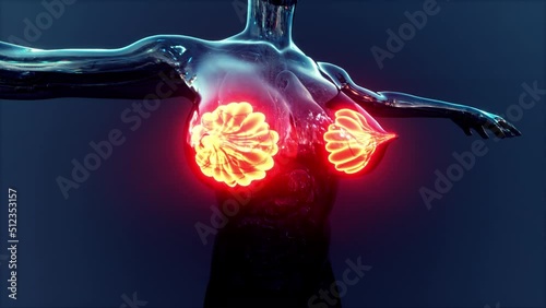 science anatomy of human body with glow mammary gland