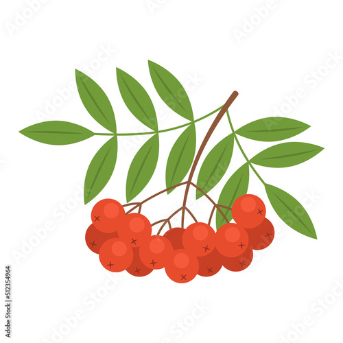 Branch with red rowan berries isolated on white background. Sorbus aucuparia, European rowan or mountain-ash berries with leaves icon. Vector fruit illustration in flat style.