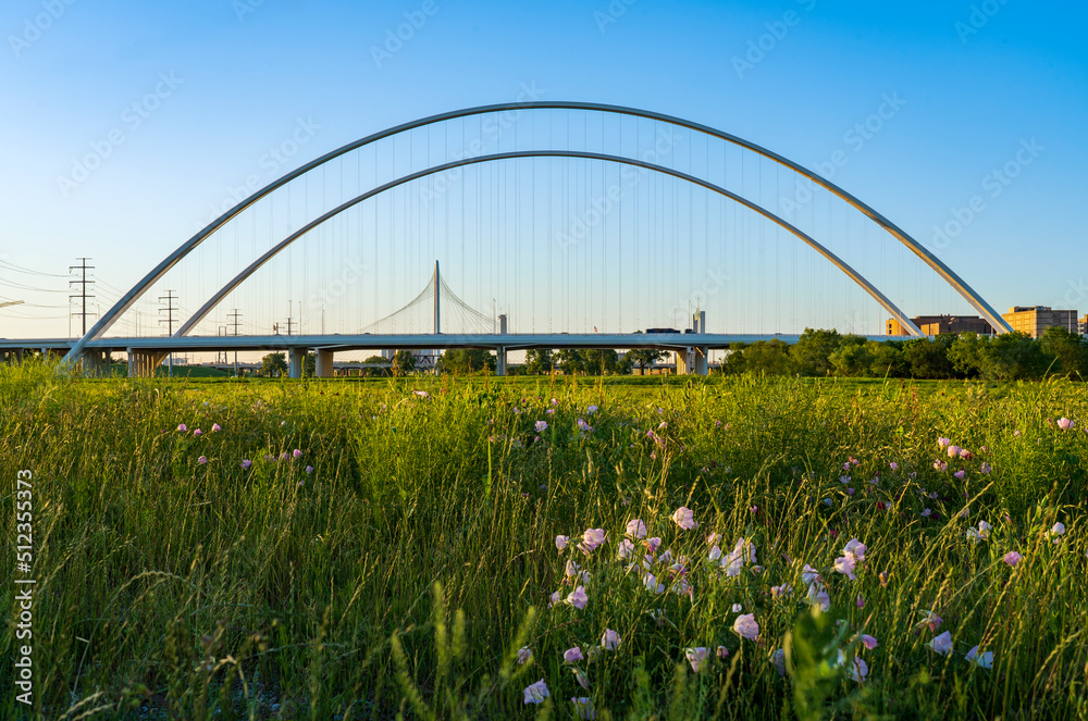 Naklejka premium Downtown Dallas Bridges