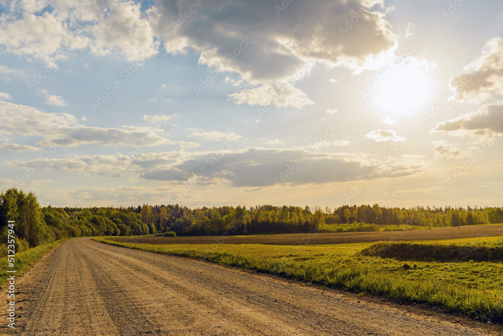 Empty Sandy country road near the forest,fluffy clouds,summer evening sunset landscape. Empty Sandy country road near the forest,fluffy clouds,summer evening sunset landscape.