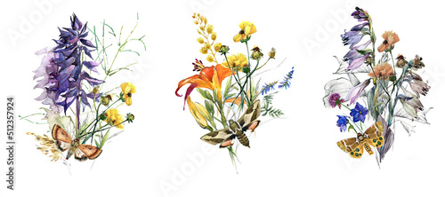 watercolor flowers bouqet set. floral illustrations. Botanical composition. Branch of flowers. Summer flowers © Елена Фаенкова