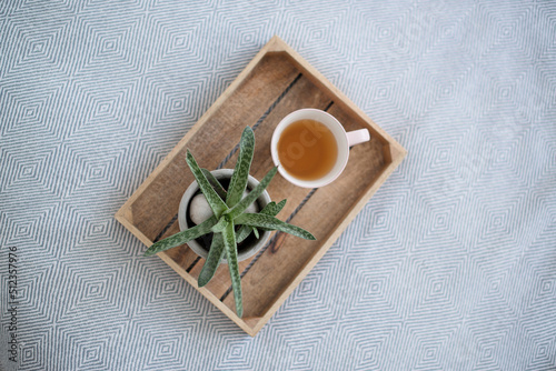 A tray with a mug of tea and a plant in the interior