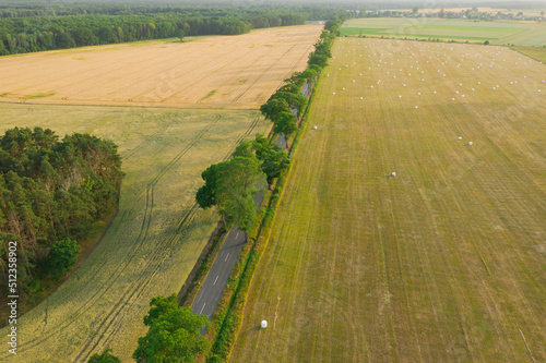 Prosta asfaltowa droga wśród łąk i pól uprawnych pokrytych suchą, żółtą trawą i balotami z sianem. Na poboczu rosną wysokie drzewa. Zdjęcie z drona.
