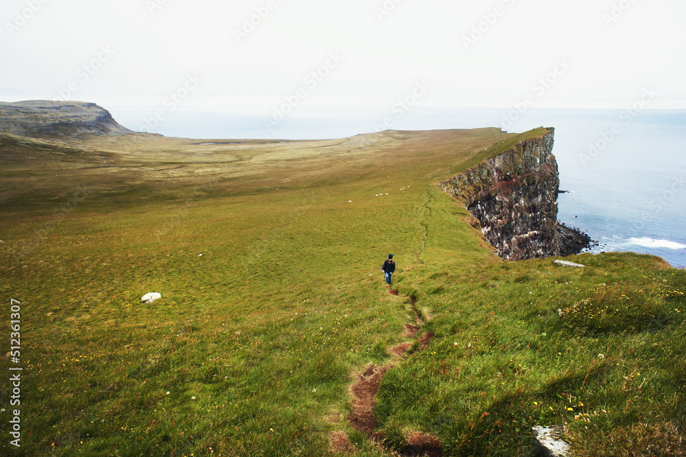 Scenic view of the bird cliffs of Iceland in yellow green grass and the North Atlantic Ocean and woman tourist walking in distance beautiful landscape nature Latrabjarg