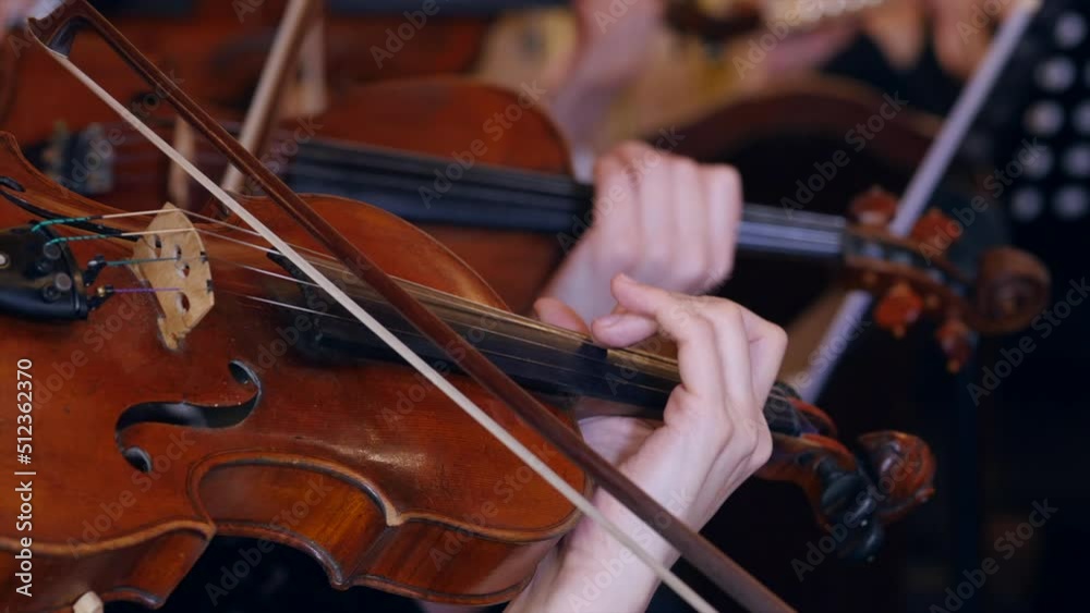Female musicians playing violins in symphony orchestra, Close-up view Female musicians playing violins in symphony orchestra, Close-up view