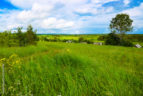 summer rural landscape with grass trees and a village in the distance