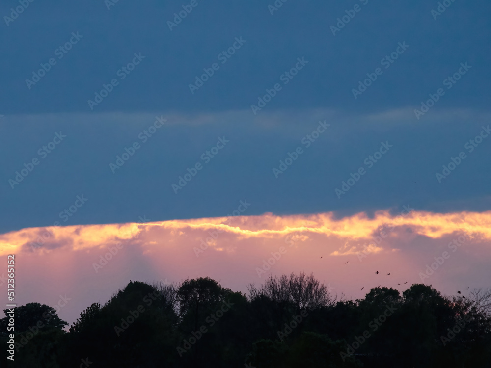 Sun beams breaking through a break in heavy, oppressive clouds to silhouette a stand of trees and birds flying to roos before the storm. 