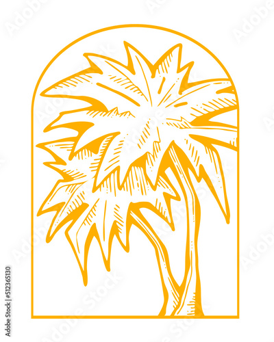 Palm tree with green leaves. Exotic tropical jungle hot summer holiday, Travel outdoor to south in nature forest to spa relax. Hand drawn retro vintage illustration. Cartoon style line art drawing.