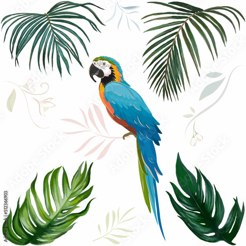 Vector hand drawn macaw bird and palm leaves on white background isolated