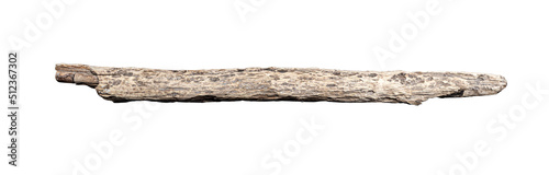 Dry tree twig branch isolated on white background.
