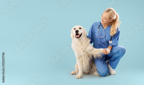 Friendly veterinary clinic. Happy nurse posing with golden retriever, embracing labrador and holding pet's paw