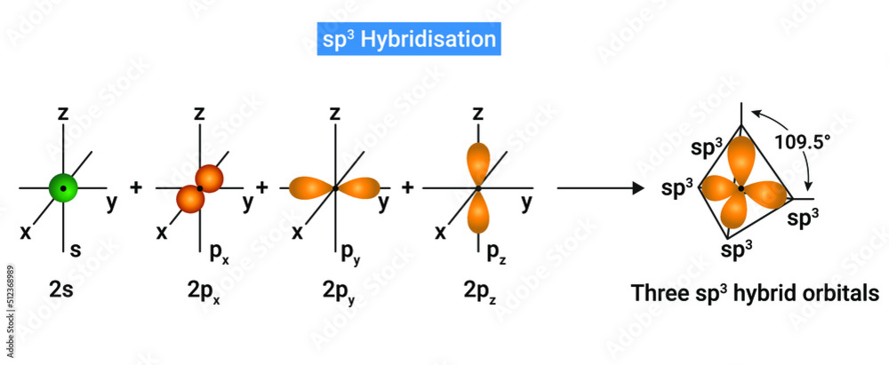 Vecteur Stock sp3 Hybridisation: One s and three p orbitals of an atom of a  molecule or ion, are mixed to give four new hybrid orbitals called as sp3  hybrid orbitals.