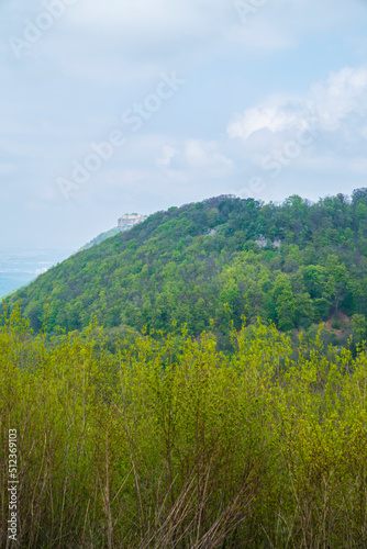 Germany, Ancient hohenneuffen castle ruins nature landscape on top of a forested mountain in foggy atmoshpere in springtime