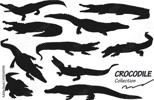 crocodile silhouettes