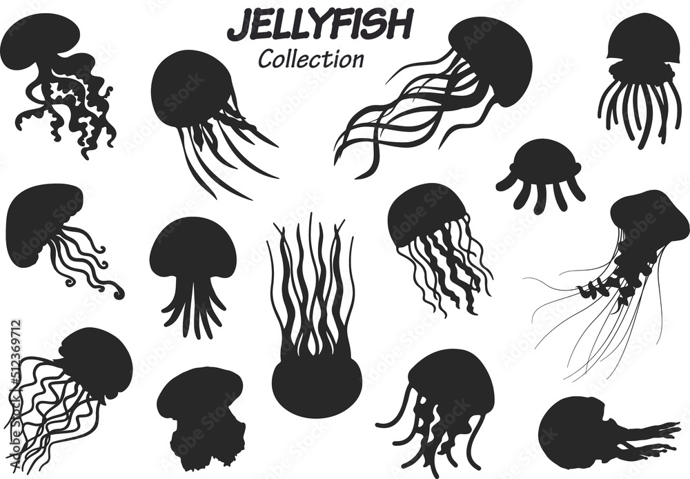 Naklejka premium jellyfish silhouette collection