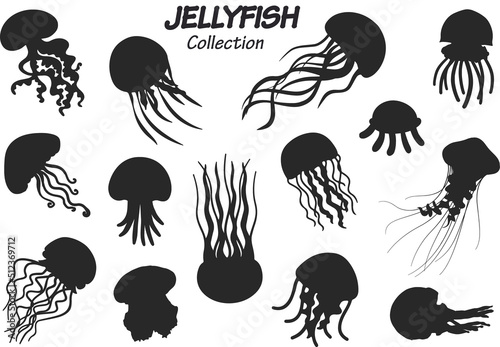 jellyfish silhouette collection