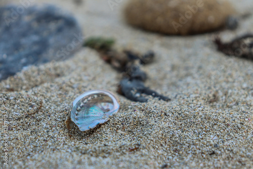wedding rings on the sand