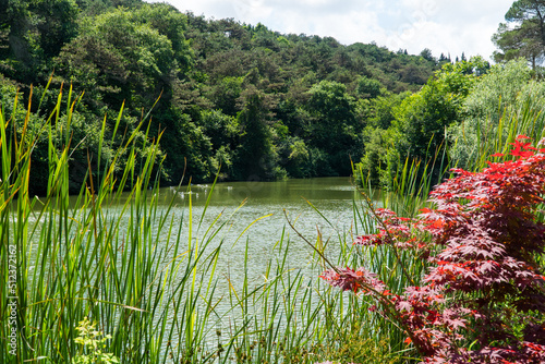 Ataturk kent ormani in Istanbul. Ataturk City Forest. Green spaces in Istanbul city. Green parks or recreational areas in city. photo