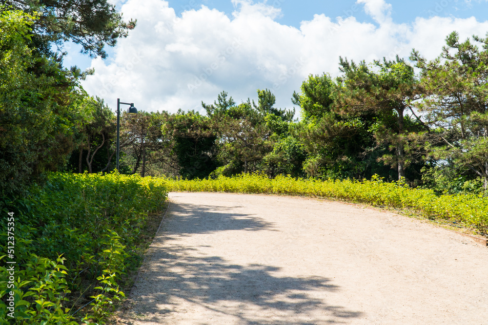 Ataturk kent ormani in Istanbul. Ataturk City Forest. Green spaces in Istanbul city. Green parks or recreational areas in city. Ataturk kent ormani in Istanbul. Ataturk City Forest. Green spaces in Istanbul city. Green parks or recreational areas in city.
