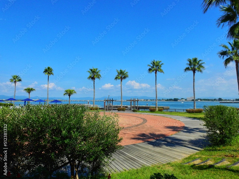 Fototapeta premium palm trees on the beach