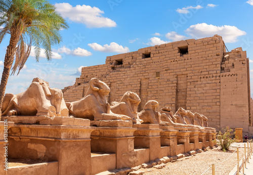 The King s Festivities Road or Avenue of Sphinxes, ram-headed statues of Karnak Temple, Luxor, Egypt