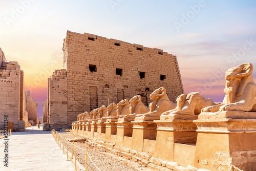 Obraz na płótnie Karnak Temple entrance and Avenue of Sphinxes, Luxor, Egypt w salonie