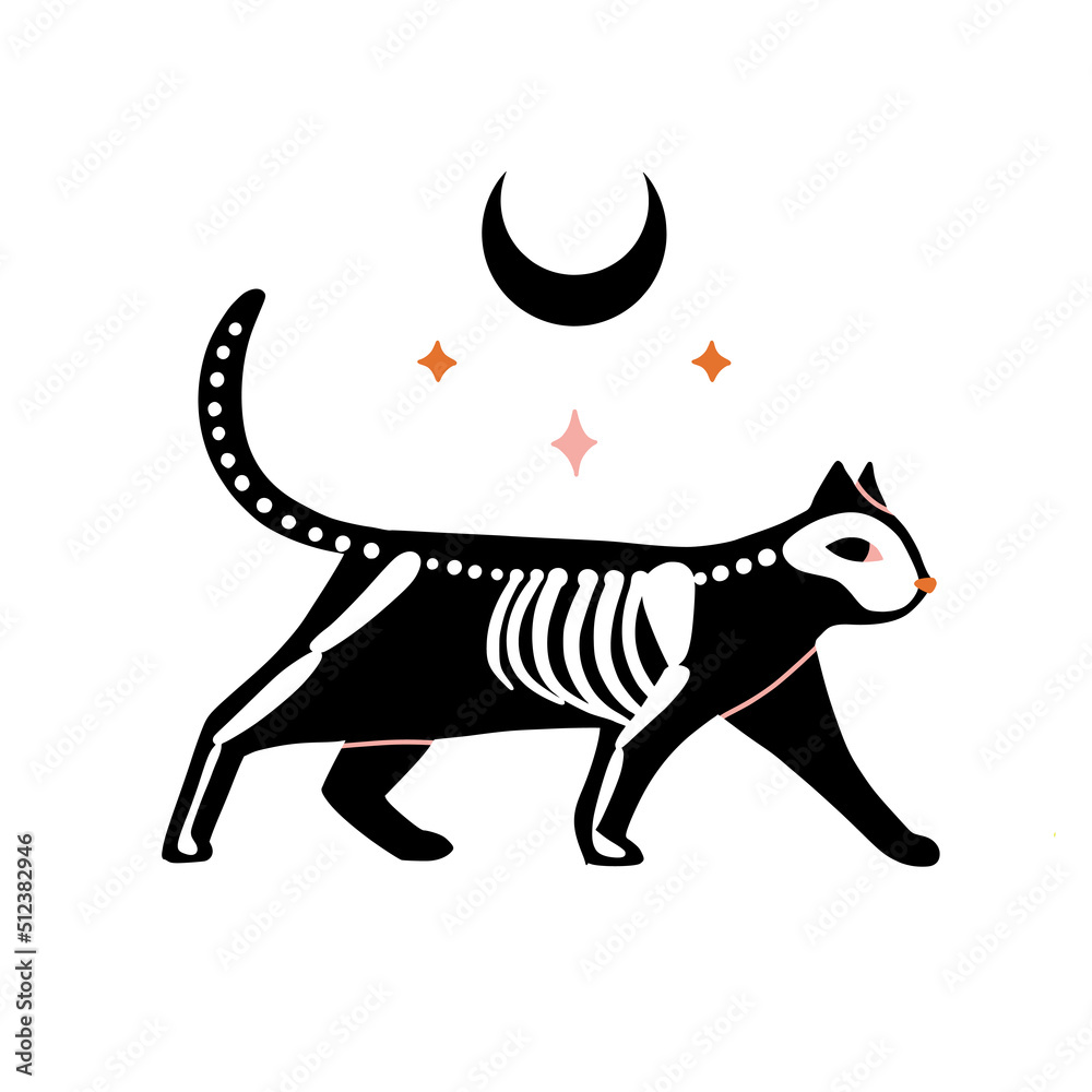 Magic skeleton cat, moon and stars. Doodle boho abstract illustration for tatoo, poster, sticker, t-shirt print. Witch symbols. Hand drawn witchcraft esoteric concept. Flat vector halloween card Magic skeleton cat, moon and stars. Doodle boho abstract illustration for tatoo, poster, sticker, t-shirt print. Witch symbols. Hand drawn witchcraft esoteric concept. Flat vector halloween card