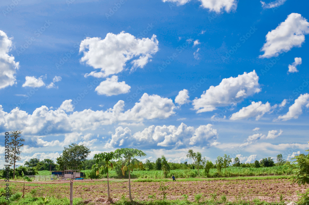 green field and sky