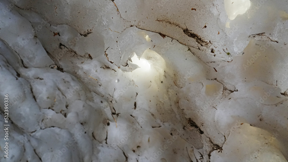 Ice grotto, a snow cave in the mountains in summer. Drops drip from the edges of the walls. Huge snow tunnel. Large rocks and rocks. Moss and grass grow in places. Thick walls of snow. Unusual place.