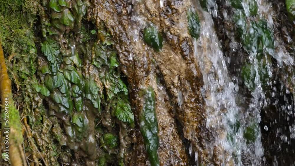 Waterfall Cascading Down The Algae-covered Rocks - close up Waterfall Cascading Down The Algae-covered Rocks - close up