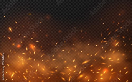 Fotografie, Obraz Fire sparks background on transparent