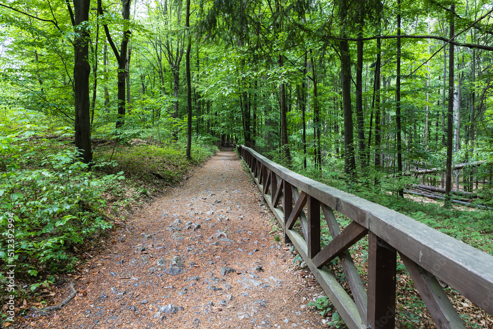 Hiking trail near Punkva caves in the Moravian Karst, Czech Republic Hiking trail near Punkva caves in the Moravian Karst, Czech Republic