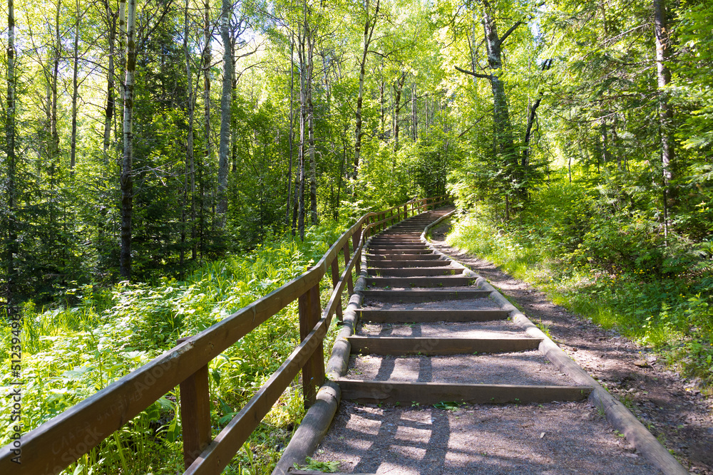 Empty forest path equipped with gravel steps and wooden handrailing's for tourists. Ascending trail in Nature park reserve in sunny day. Summer forest landscape