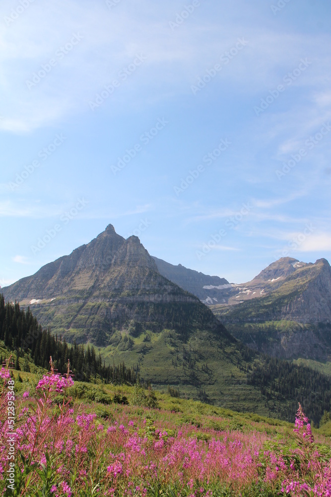 Obraz premium Glacier National Park, Montana