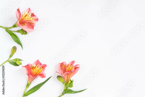 Festive floral background. corner composition from peach and orange flowers on a white background isolated.