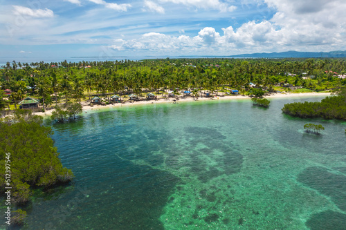 Aerial of a coconut tree lined beach with cottages at Pangangan Island, Calape, Bohol, Philippines. photo