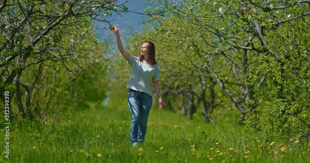 middle-aged woman is spending spring day in garden with blooming trees 4K, Prores middle-aged woman is spending spring day in garden with blooming trees 4K, Prores