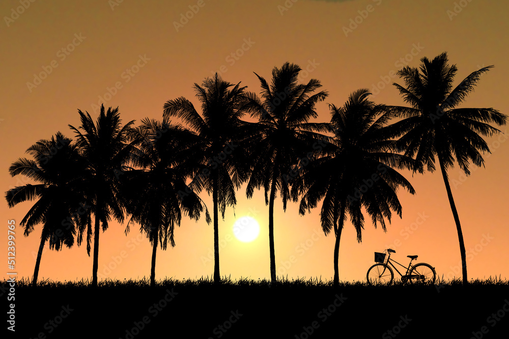 Silhouette of coconut trees in a beautiful evening