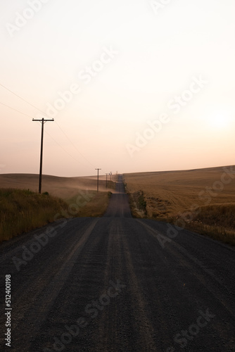 Dusty wheat field lined road in Eastern Washington