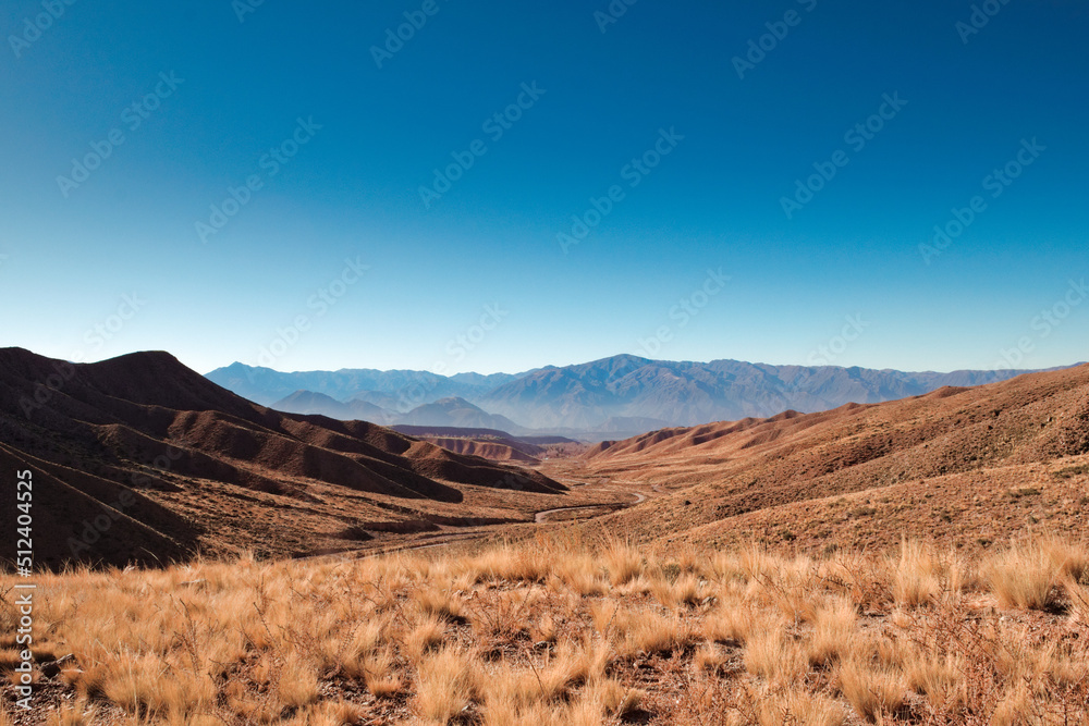 Arid grassy steppe by the Andes mountains near Tupungato, province of Mendoza, Argentina.