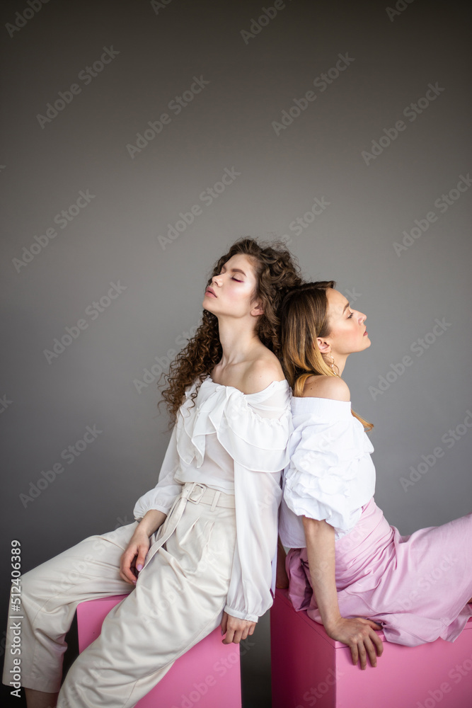 Two fashion female models on a grey background studio portrait of two young stylish girls posing
Two fashion female models on a grey background studio portrait of two young stylish girls posing