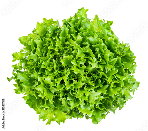 Принти на полотні top view of head of fresh endive lettuce cutout