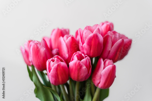Fototapeta Naklejka Na Ścianę i Meble -  A bunch of pink tulips on a light background. Close-up. A delicate bouquet for the holiday. Spring abundance. Space for text.