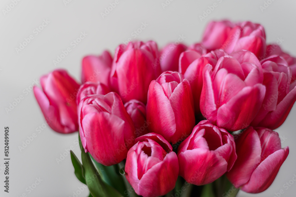 Fototapeta premium A bunch of pink tulips on a light background. Close-up. A delicate bouquet for the holiday. Spring abundance.